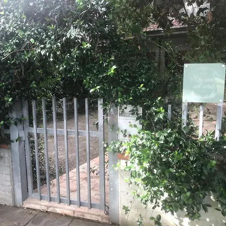 Un Nido Nel